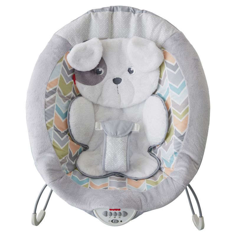 ​Fisher-Price Baby Bouncer