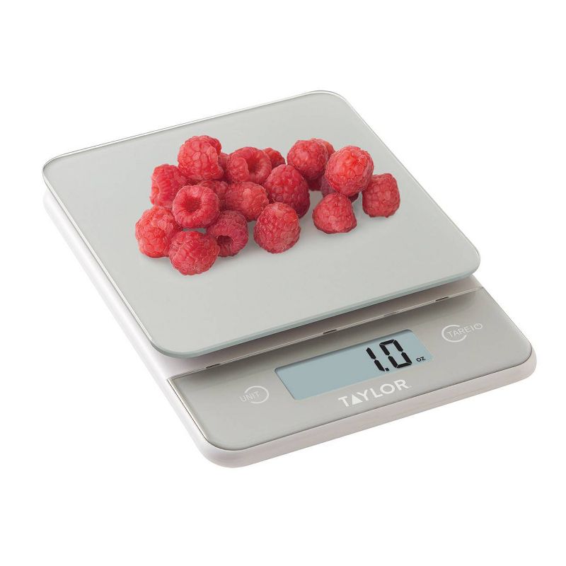 Ciro Digital Scale White