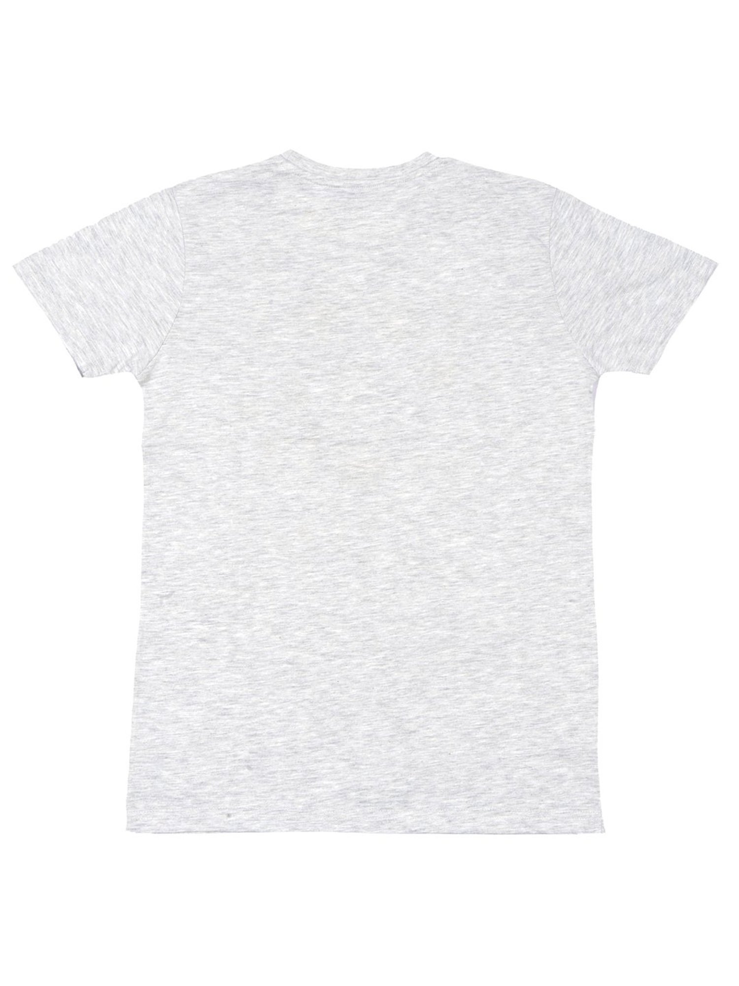 Dyca Boys Grey Graphic T-Shirt