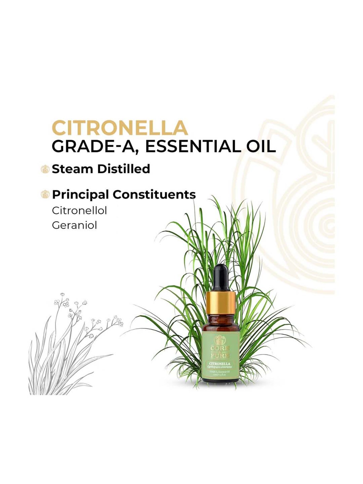 CORE & PURE Citronella Essential Oil - 12 ml
