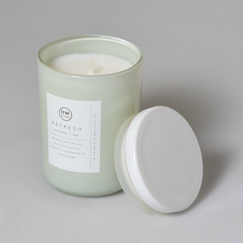 8oz Wellness Spa/Refresh Eucalyptus and Sage Candle - DW Home