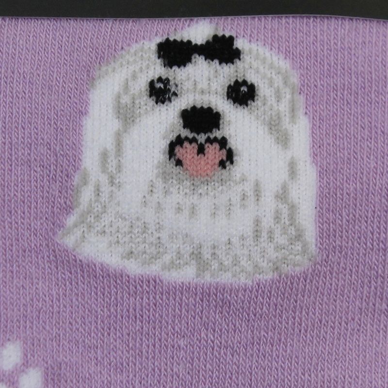 Novelty Socks 15.25" Maltese Socks Premium Quality E & S Pet  -  Socks