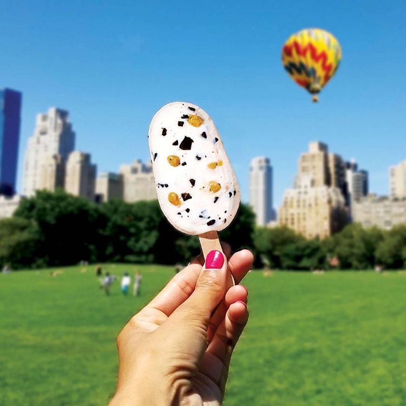 Yasso Frozen Greek Yogurt - Chocolate Chip Cookie Dough Bars - 4ct