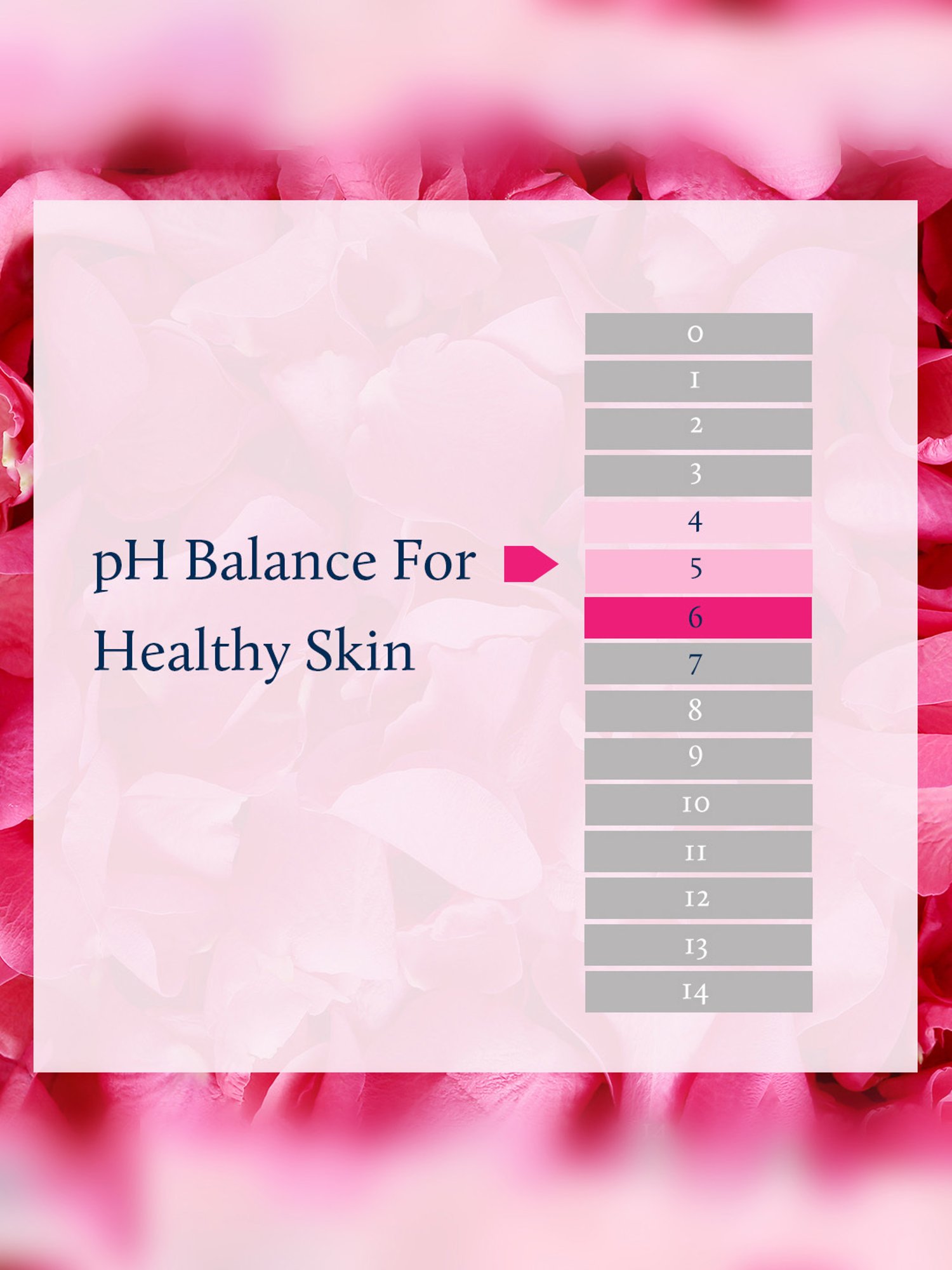 Blue Nectar Shubhr Rose Face Tonic Mist - 200 ml