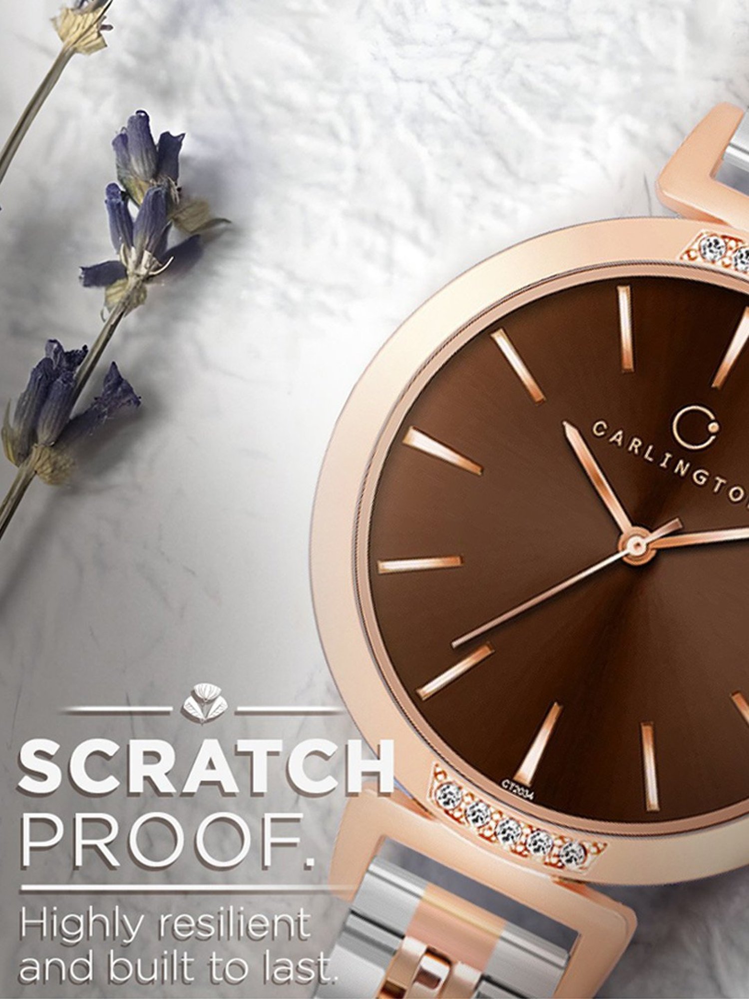 Carlington Iconic 2034Two Tone Brown Analog Watch for Women