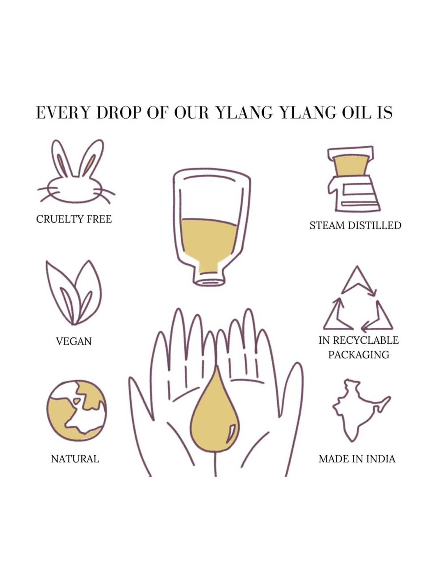 Essentia Extracts Combo of Lavender, Tea Tree & Ylang Ylang Essential Oil