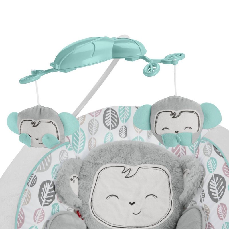 ​Fisher-Price Baby Bouncer