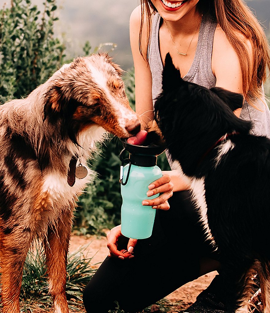 Hype HIGHWAVE AutoDogMug&reg; Leak-Tight