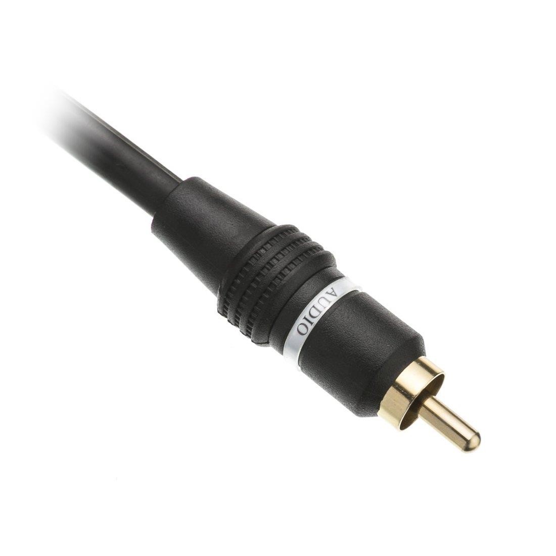 CableWholesale 6-Feet 2 RCA Male/2 RCA Male Audio Cable (10R2-02106)