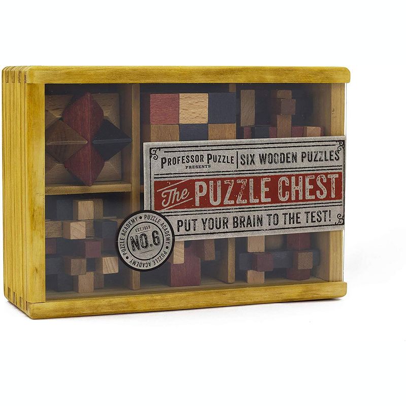 Professor Puzzle The Puzzle Chest 3D Wooden Brain Teasers 6 Piece Set