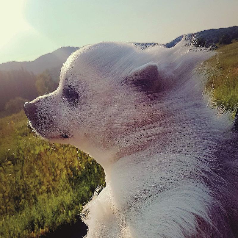 2021 The Everygirl Wall Calendar 15" x 12" Liam - Blue Sky