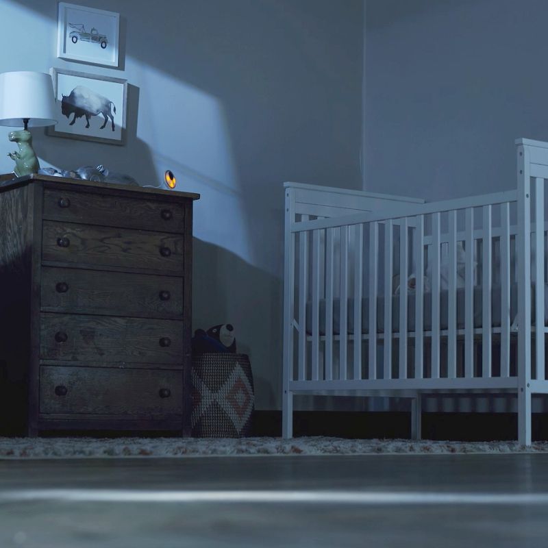 Infant Optics Digital Video Monitor DXR-8 Pro