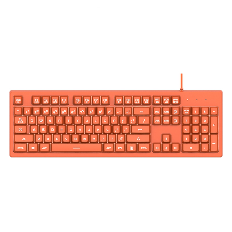 Ajazz DKS100 Quiet Keyboard, DOUYU White Backlit Mechanical Feel Membrane Gaming Keyboard, Wired 104 Keys for Gaming Office and Typing