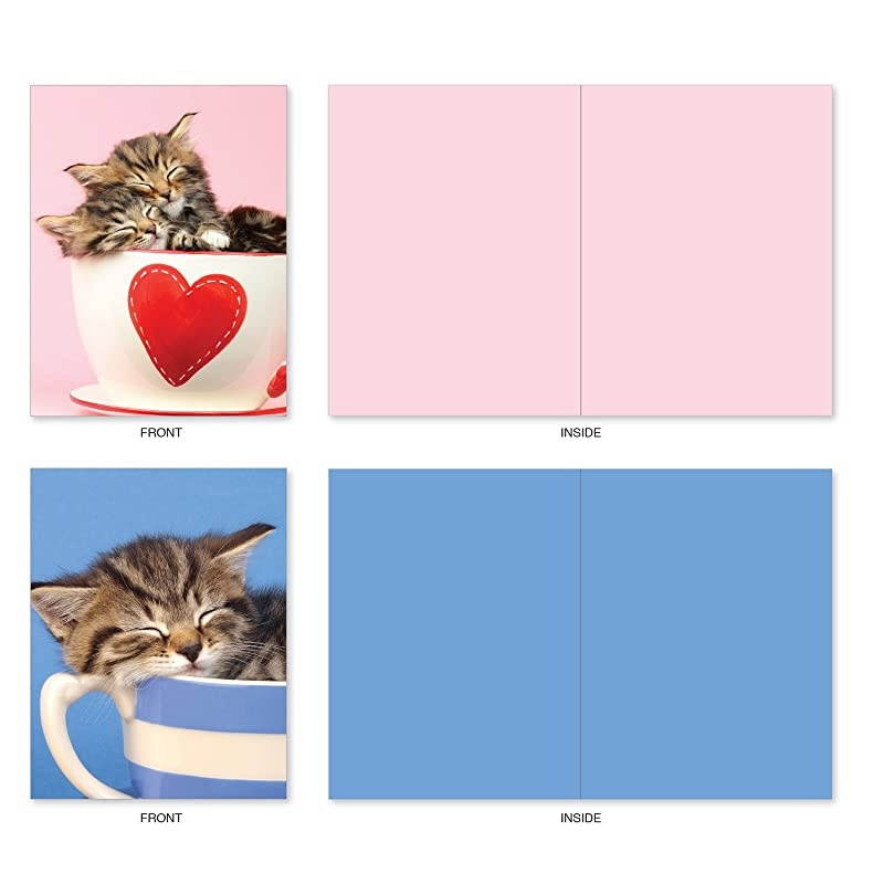 10 All Occasion Blank Cat Cards (4 x 5.12 Inch) - Cute Assorted Bulk Card Set - Cup-Cats M3969