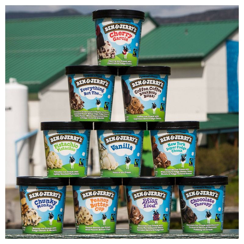 Ben & Jerry's Pistachio Pistachio Ice Cream - 16oz