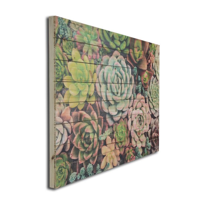 24" x 36" Succulent Garden Print on Planked Wood Wall Sign Panel Assorted Greens - Gallery 57