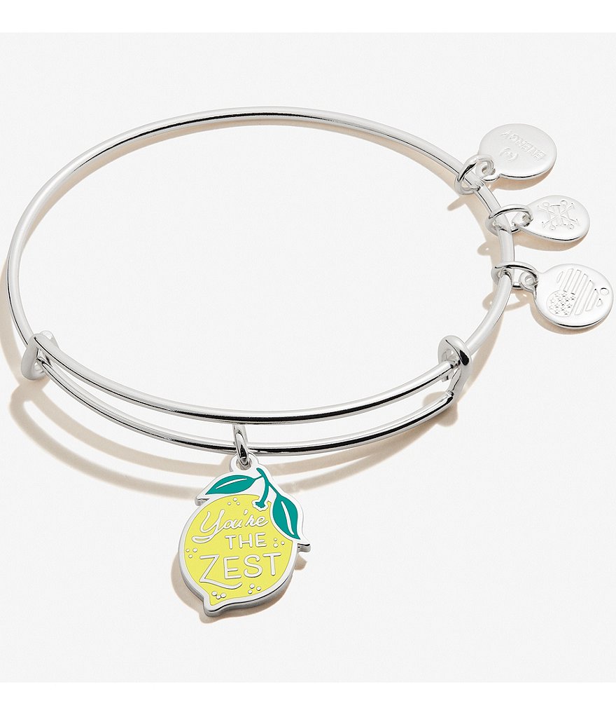 Alex and Ani You're the Zest Charm Bangle Bracelet