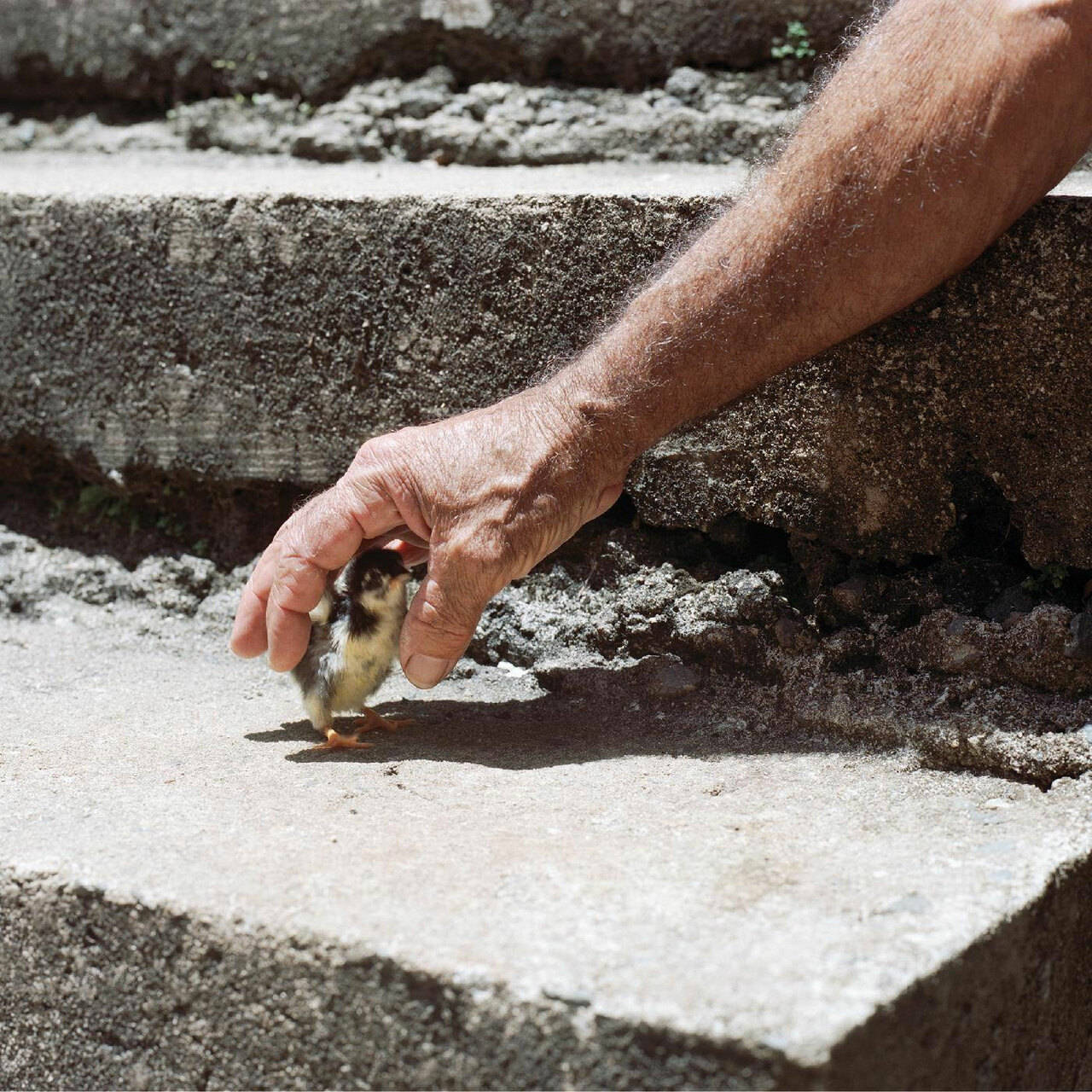 Big Thief Mythological Beauty 45rpm 7" Vinyl Single (Concrete Gray Vinyl)