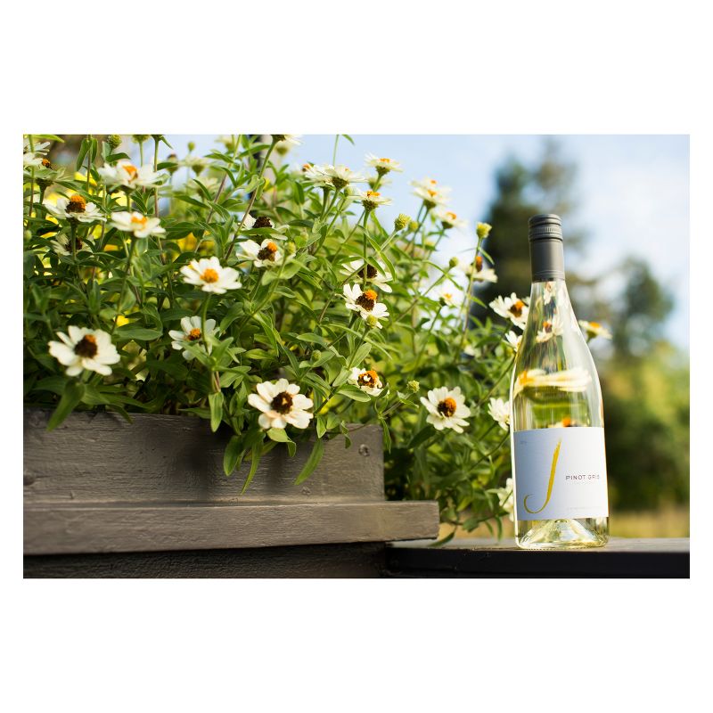 J Pinot Grigio White Wine - 750ml Bottle