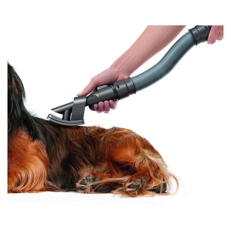 Dyson Groom Tool