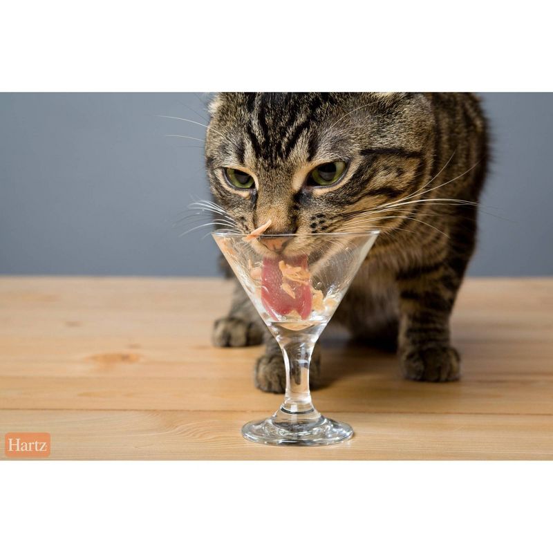 Delectables Stew Senior with Chicken & Tuna Lickable Cat Treats - 1.4oz