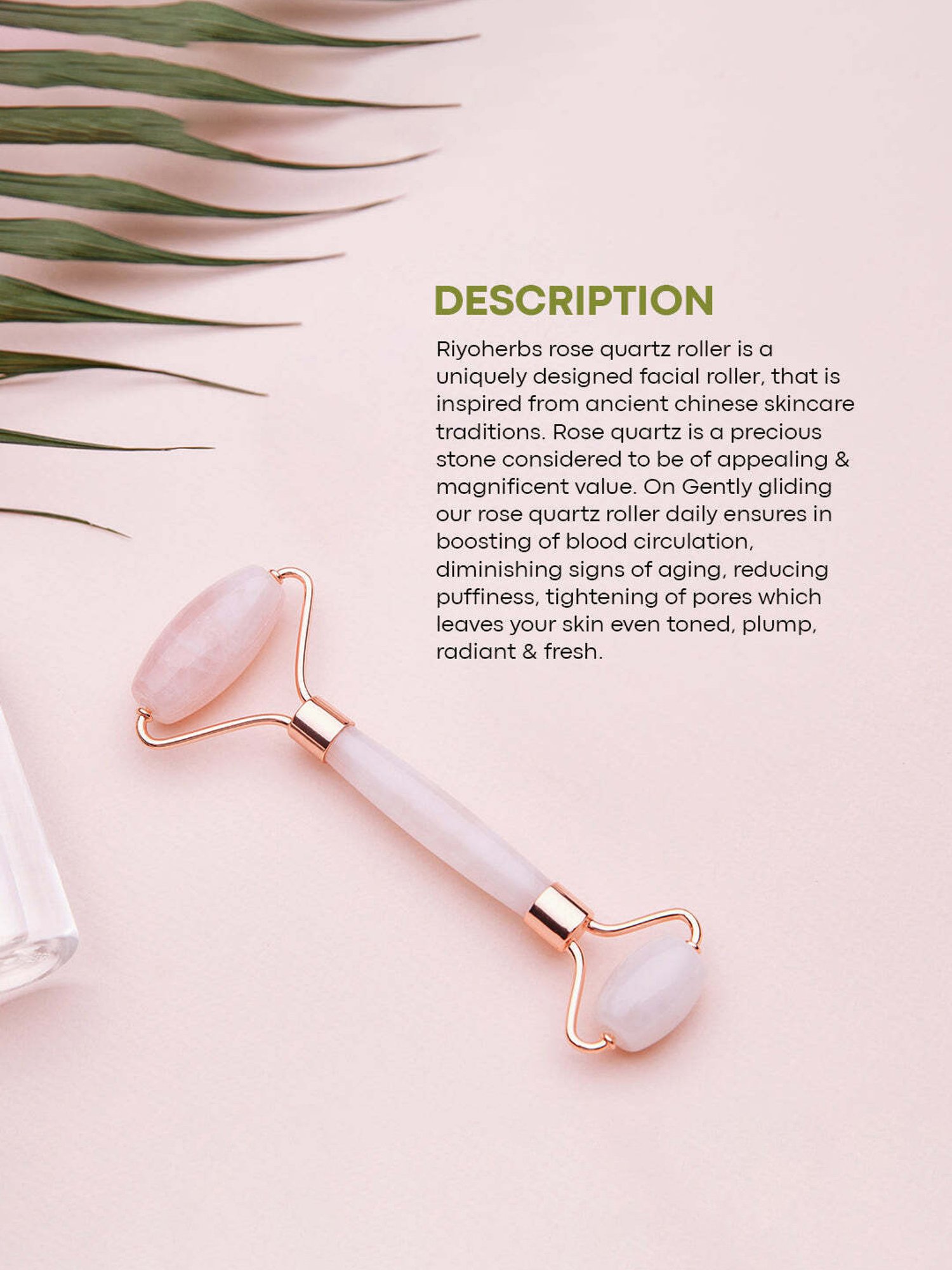 Bronson Professional 2-in-1 Soft Bristles Face Cleansing Brush (Color May Vary)