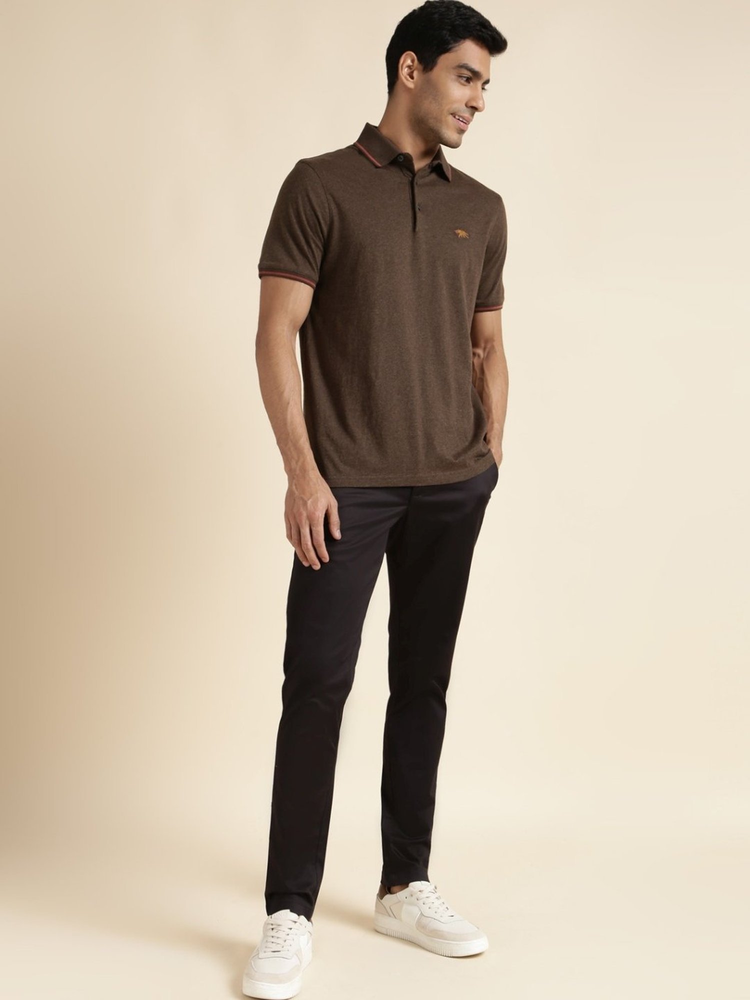 Andamen Brown Regular Fit Polo T-Shirt