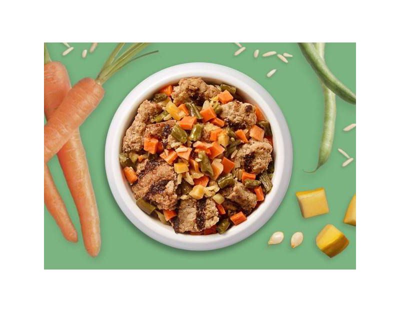 Freshpet Healthy Mixers Brown Rice, Pumpkin, Carrots & Green Beans Refrigerated Wet Dog Food Complement - 4.5oz