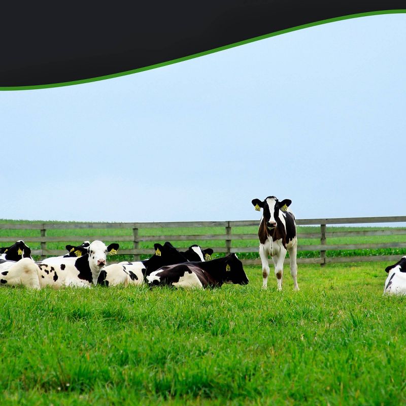 Breyer's Brownie Batter Swirl Ice Cream - 48oz