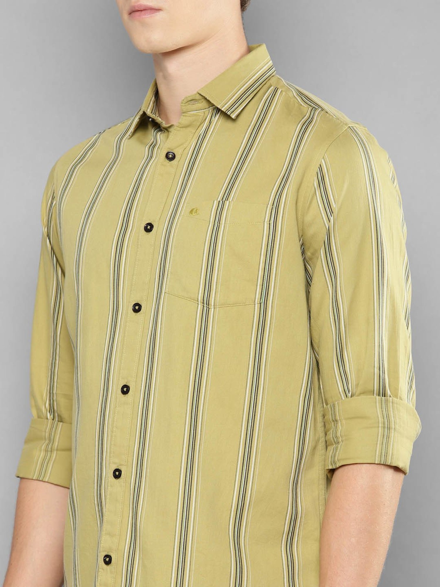 Allen cooper Green Regular Fit Striped Cotton Shirt