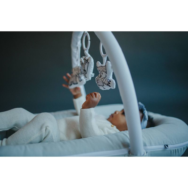 Simmons Kids' Silent Auto Gliding Elite Bassinet - Odyssey