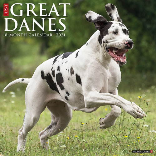 2021 Great Danes Wall