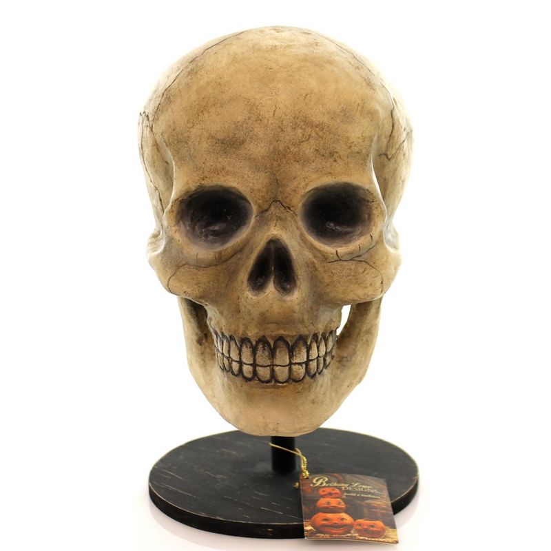 Halloween Bone Head Skeleton Skullbuggery  -  Decorative Figurines