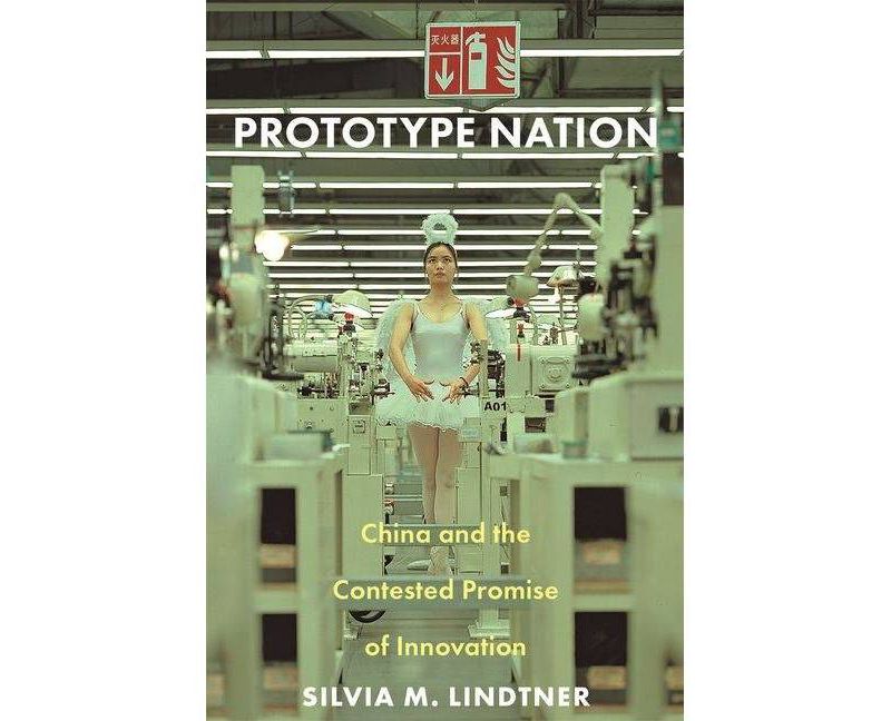 Prototype Nation - (Princeton Studies in Culture and Technology) by  Silvia M Lindtner (Paperback)