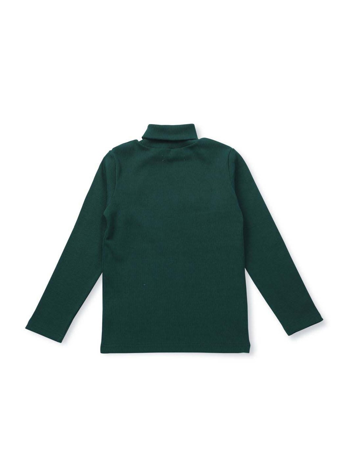 Palm Tree Kids Green Cotton Regular Fit Full Sleeves Skivvy