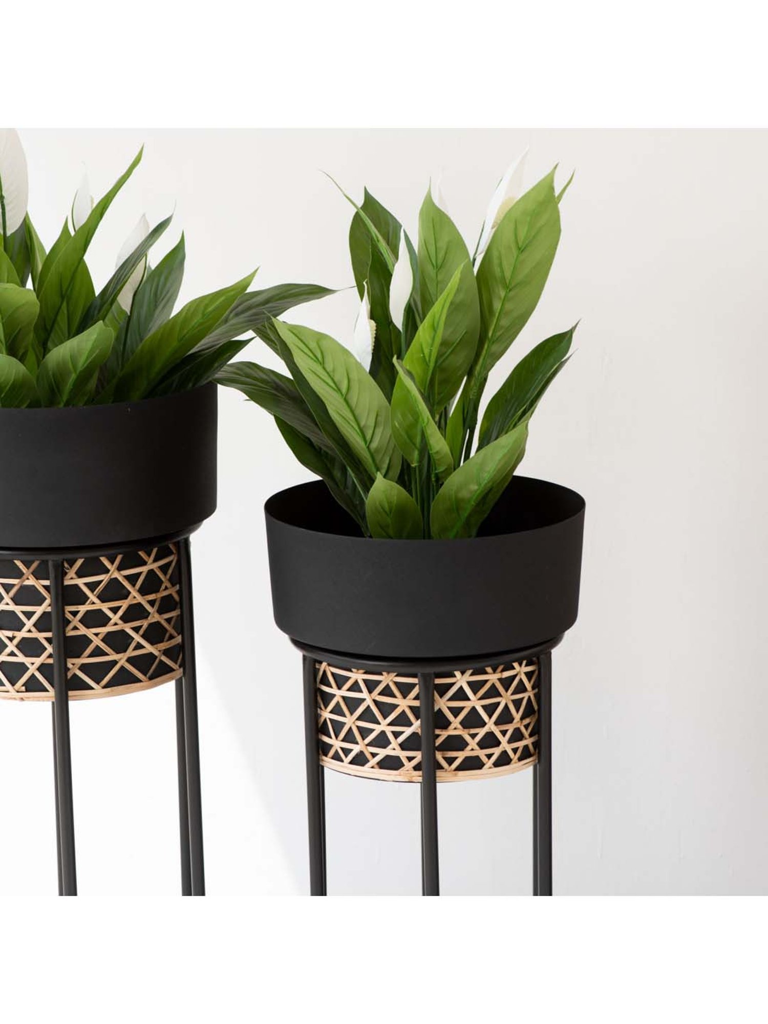 THE DECOR REMEDY Matt Black Iron Handwork Cane Planter with Stand - Set of 2