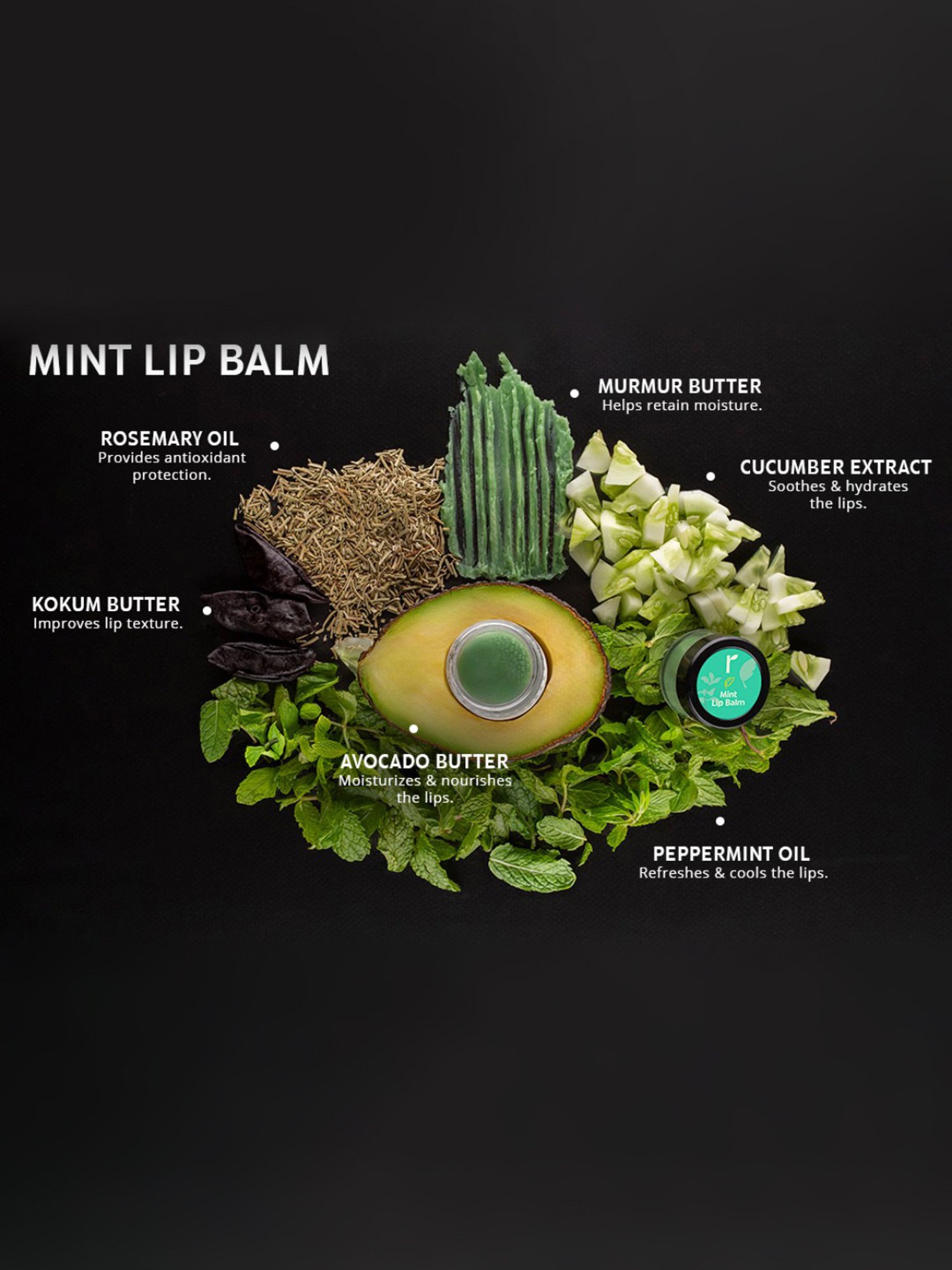 Rivona Naturals Mint Lip Balm - 8 gm