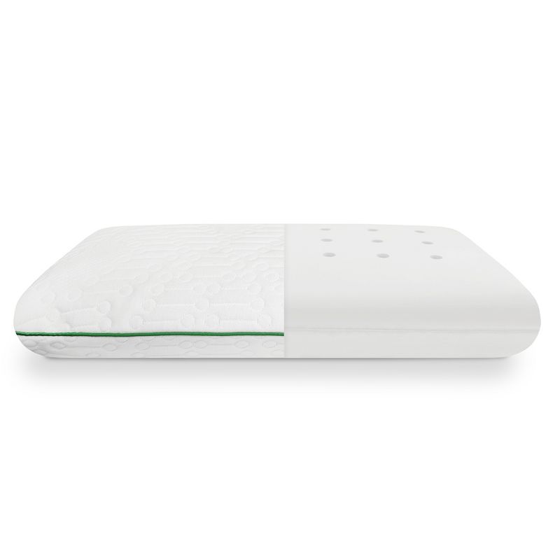 BioPEDIC Fresh and Clean Classic Comfort Memory Foam Pillow with Antimicrobial Ultra-Fresh Treated Fabric