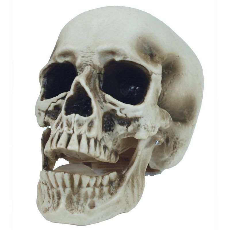 7 "Halloween Vinyl Skull