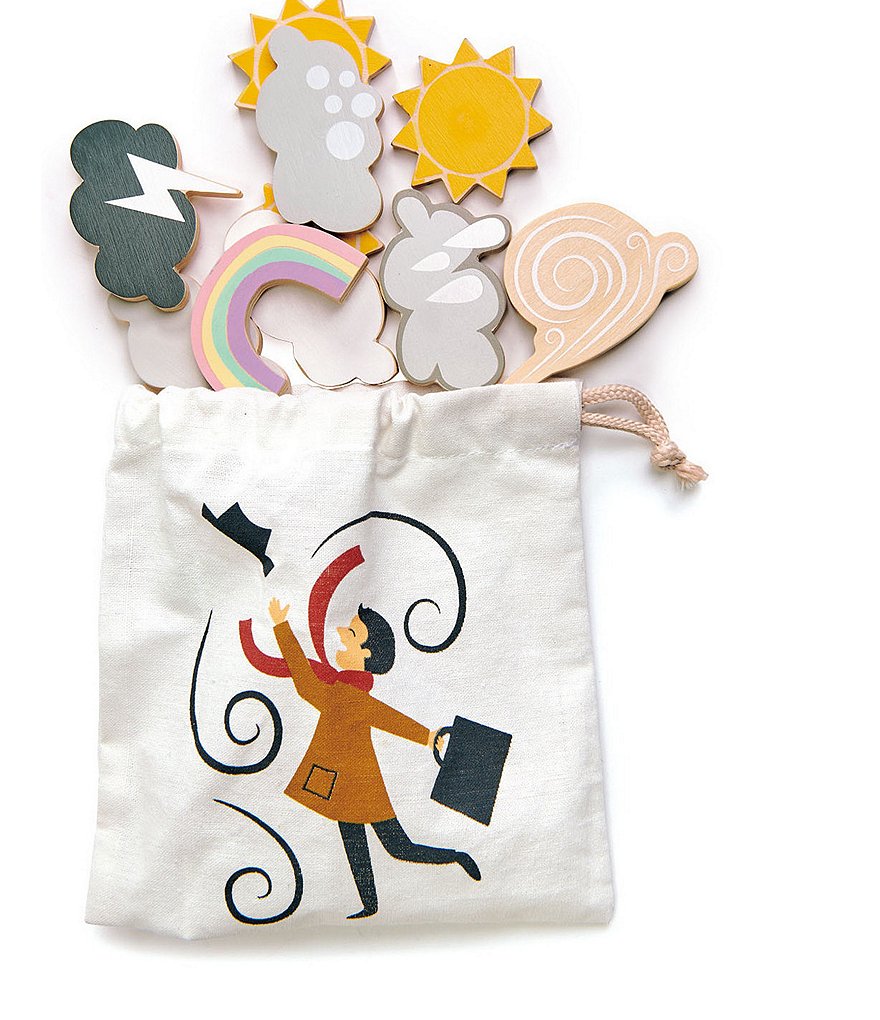 Tender Leaf Toys Weather Watch