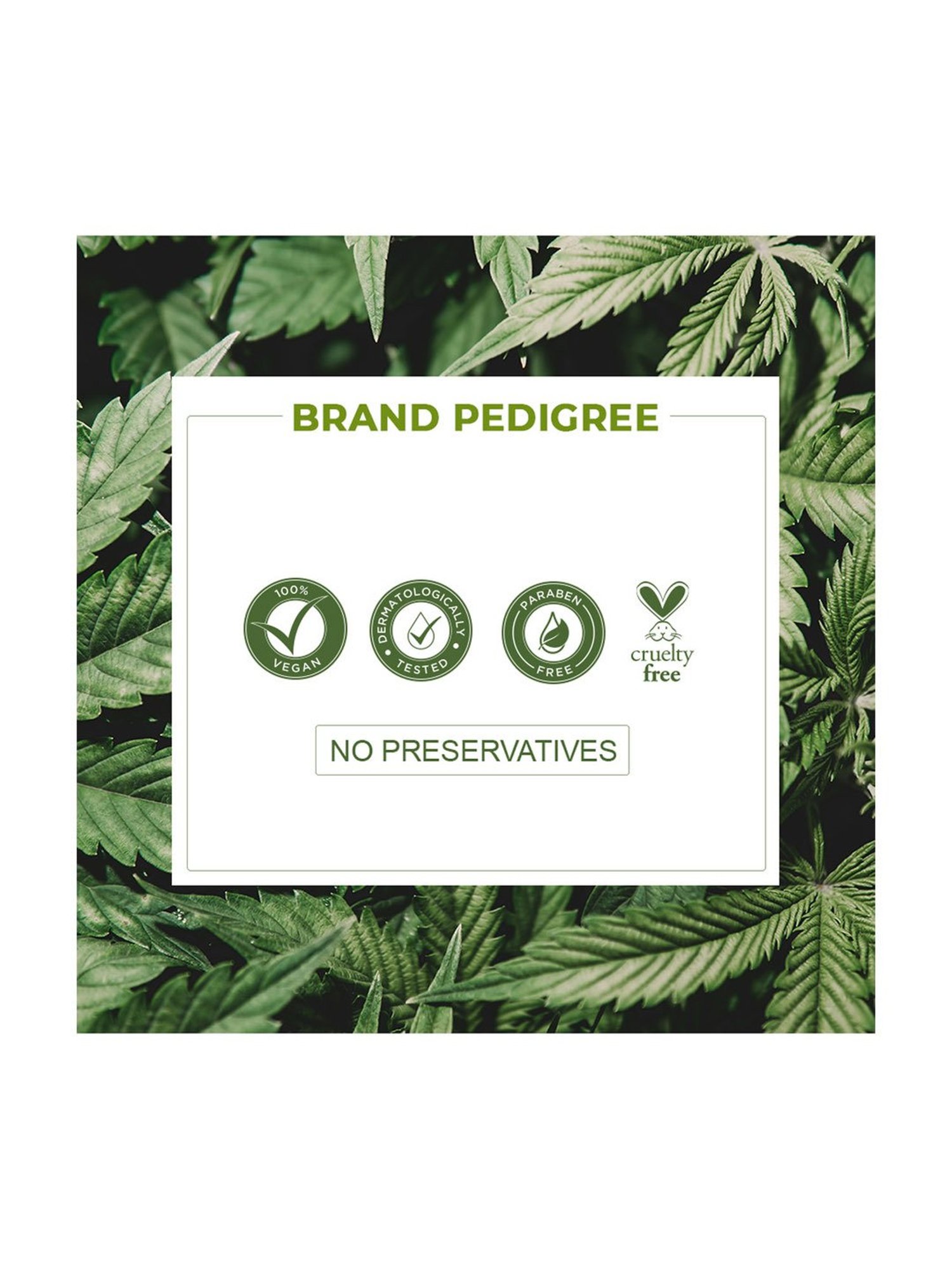 Colorbar Vita Hemp Restoring & Balancing Under Eye Serum - 20 ml