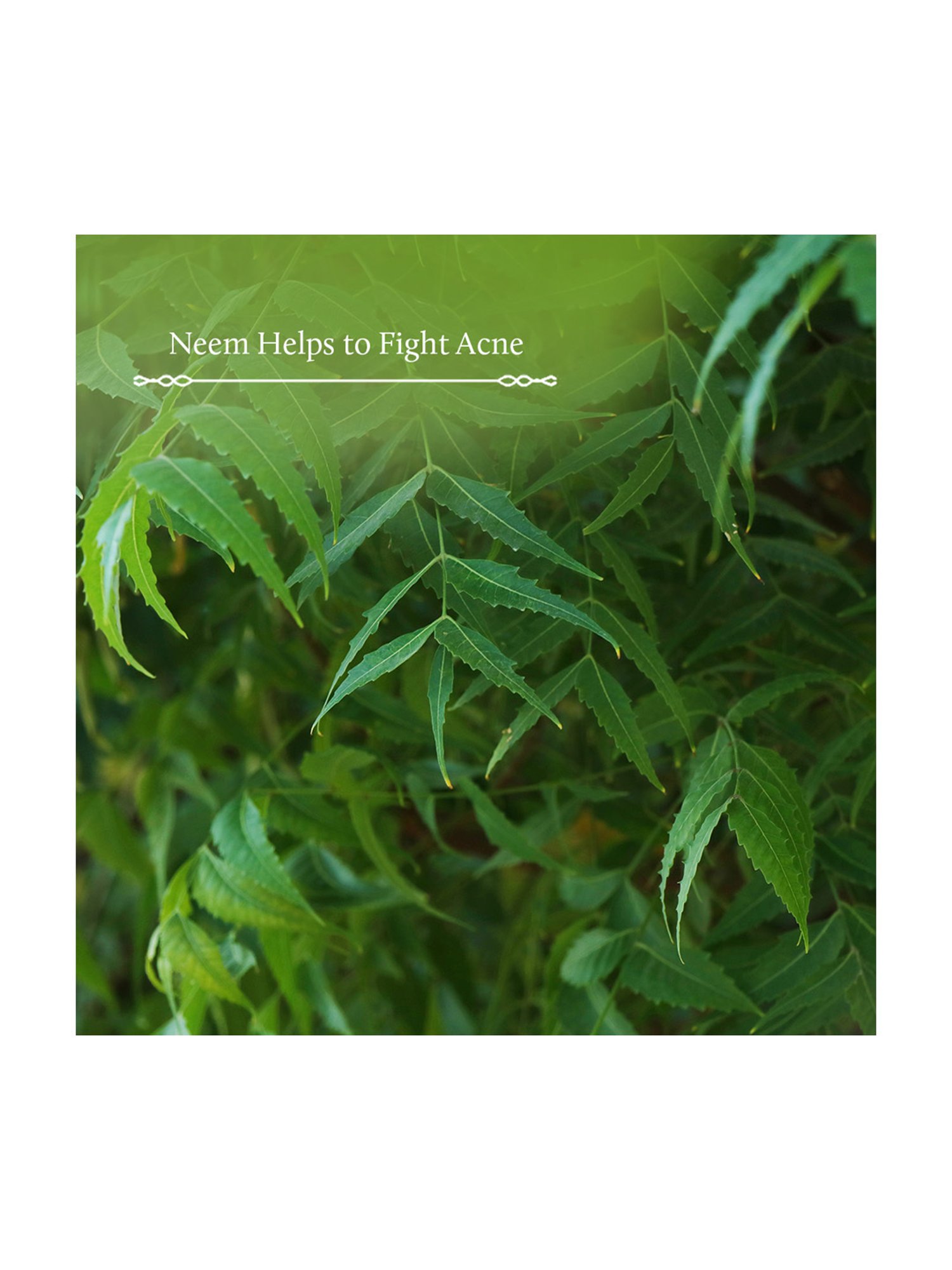 Blue Nectar Shubhr Neem Face Cleanser, Acne Control & Oil Balancing - 200ml