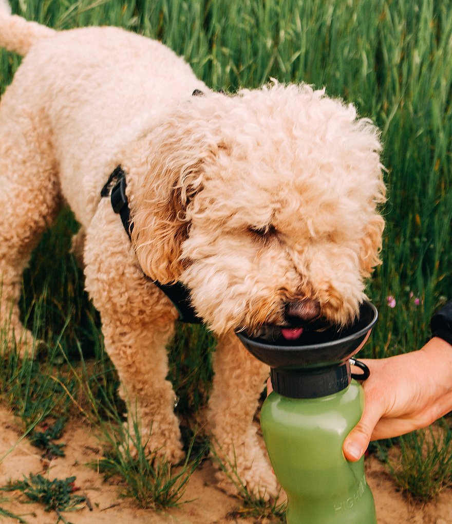 Hype HIGHWAVE AutoDogMug&reg; Leak-Tight