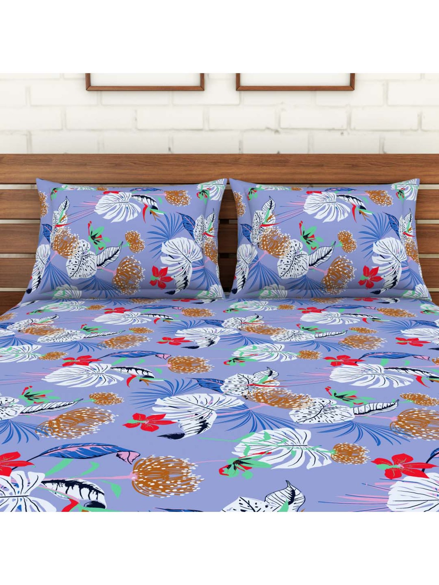 SWHF Purple & Brown Cotton 113 TC Double Bedsheet Sets