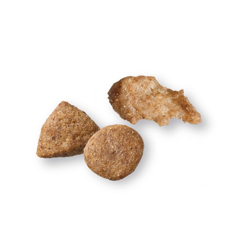 Purina ONE True Instinct Grain Free with Real Chicken Adult Premium Dry Cat Food - 6.3lbs