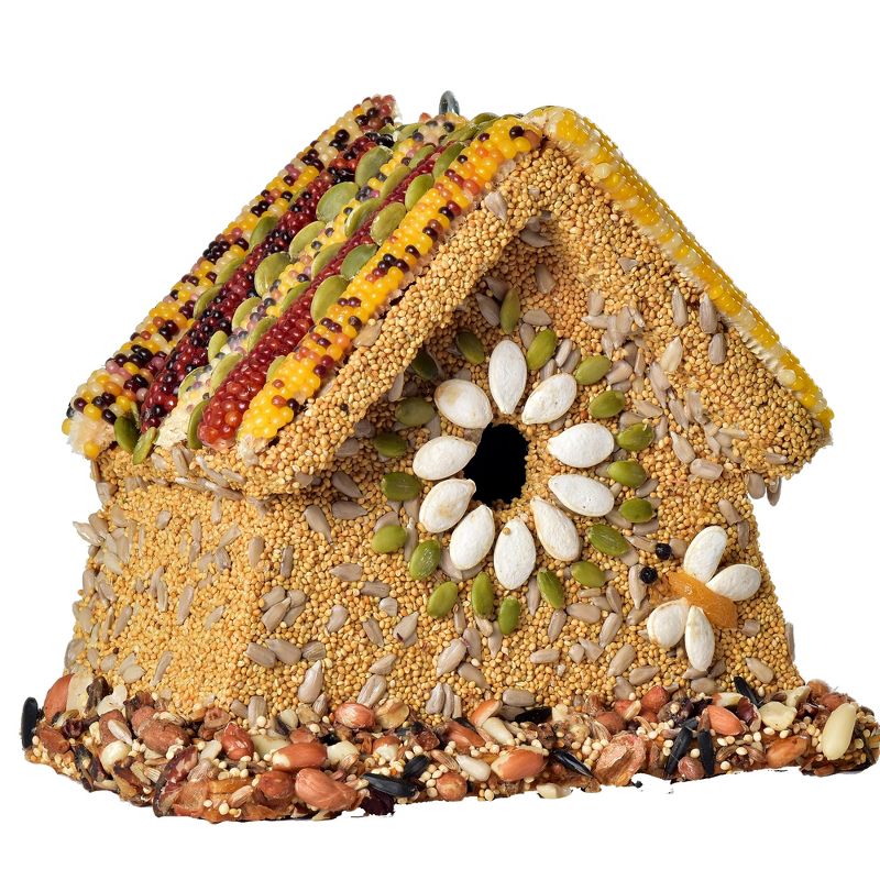 Home & Garden 7.0" Rustic Wren Birdhouse Seed  Songbirds Song Birdhouse Mr Bird  -  Bird And Wildlife Food