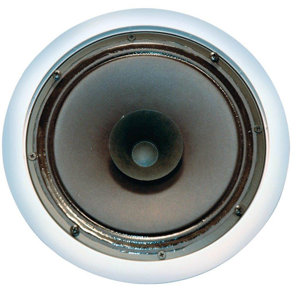 OEM SYSTEMS SC-800 8- Inch FULL RANGE SPEAKER