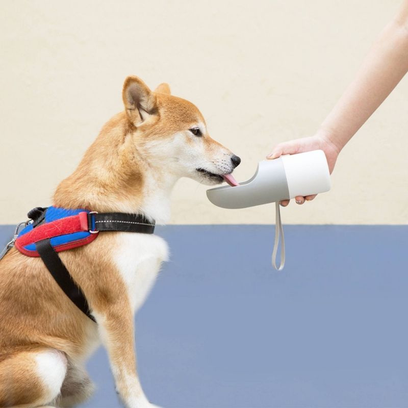 Amici Pet Marble Paw Glass Food Canister, 72oz