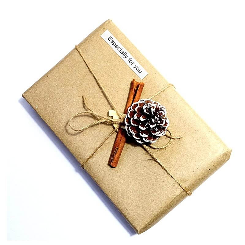 Equivalent Dymo Letratag Refills White Plastic 91331 S0721610 12 W x 13 L Compatible with Dymo Label Makers LetraTag LT100H Plus LT100T QX50