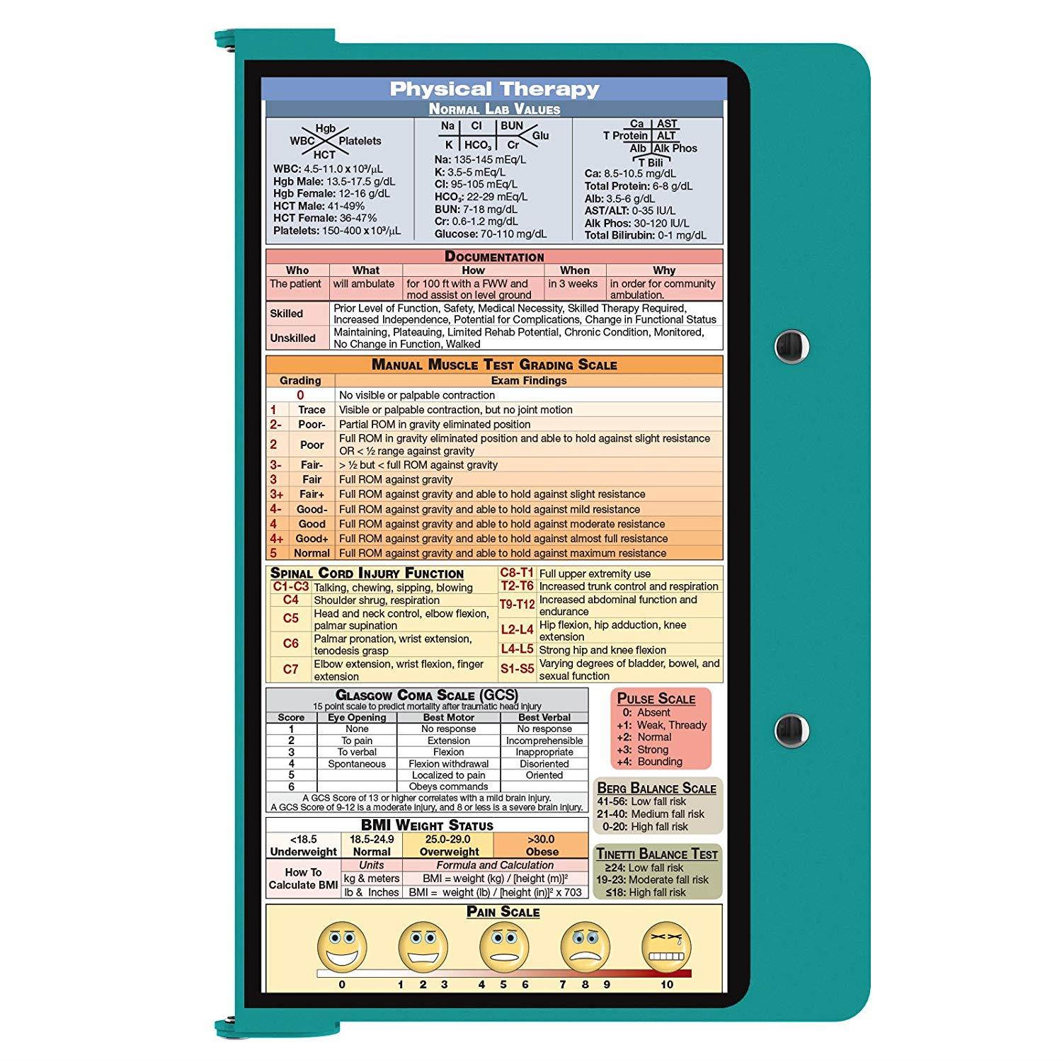 WhiteCoat Clipboard - TEAL - Physical Therapy Edition